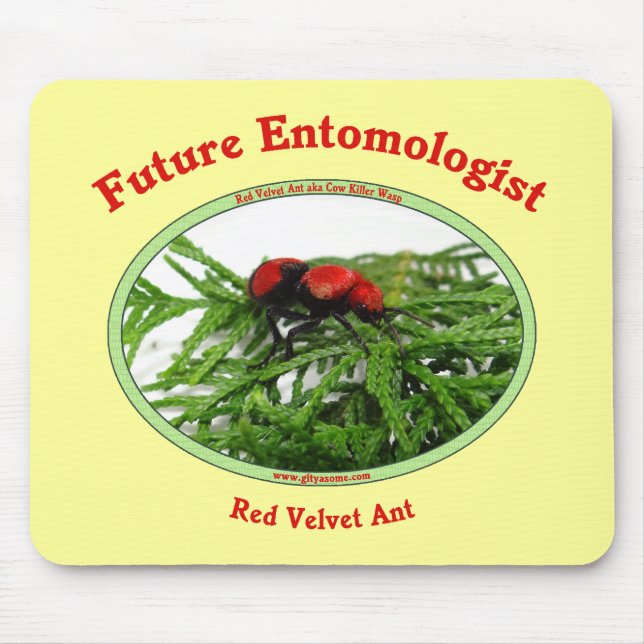 Mousepad O entomologista futuro ama insetos (Frente)