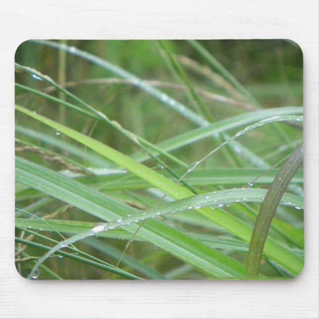 Mousepad O episódio da natureza (Frente)