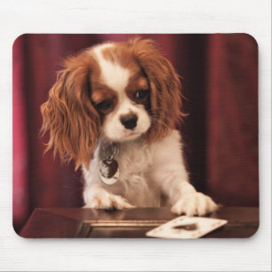Mousepad O filhote de cachorro joga cartões