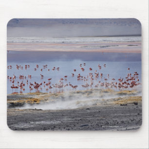 Mousepad O flamingo de James, jamesi de Phoenicoparrus