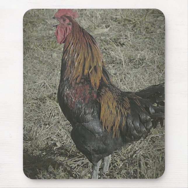 Mousepad O Galo Coroa (Frente)