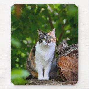Mousepad O Gato