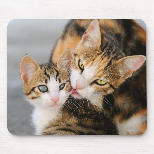 Mousepad O gato da mãe ama o gatinho bonito (Frente)