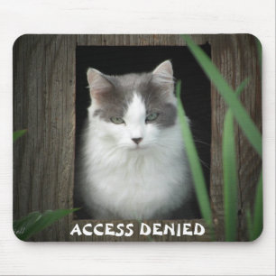 Mousepad O gato diz o acesso negado