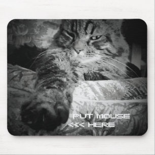 Mousepad O gato mal-humorado do anjo quer seu rato