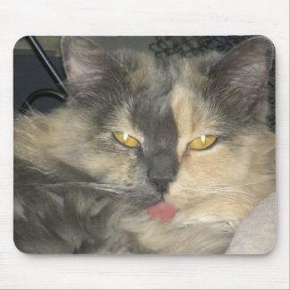 Mousepad O gato obteve sua língua