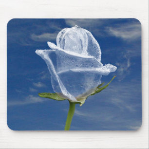 Mousepad O gelo aumentou