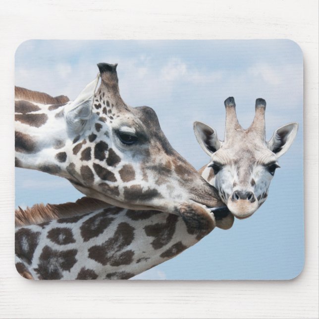 Mousepad O girafa beija sua vitela (Frente)