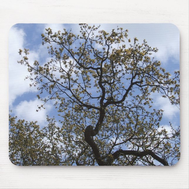 Mousepad O Grande Carvalho (Frente)