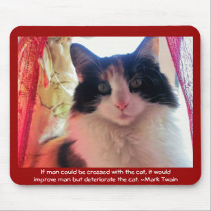 Mousepad O homem cruzou com o Calico?