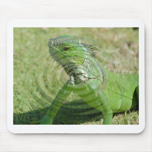 Mousepad O Iguana Verde (Frente)