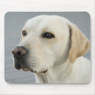 Mousepad O Labrador dourado