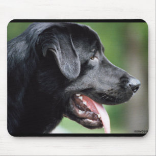 Mousepad O Labrador preto