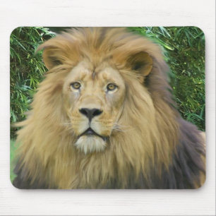 Mousepad O leão