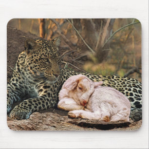 Mousepad "O leopardo deve se deitar com a criança"