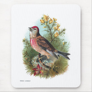 Mousepad O Linnet do rosa