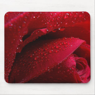 Mousepad O macro vermelho aumentou com gotas de água