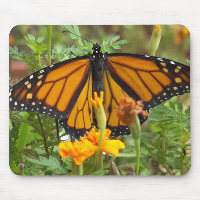 Mousepad O meu bocal de borboleta monarca (Frente)