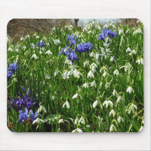 Mousepad O montanhês do primavera adiantado floresce a