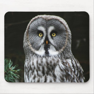 Mousepad O mpcn da Cinza do Excelente