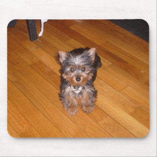 MOUSEPAD O MUNDO DE KIARA