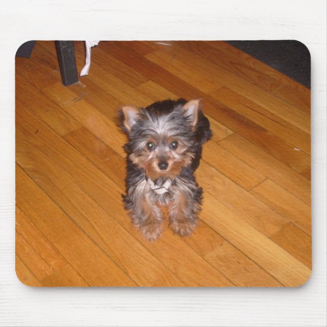 MOUSEPAD O MUNDO DE KIARA (Frente)