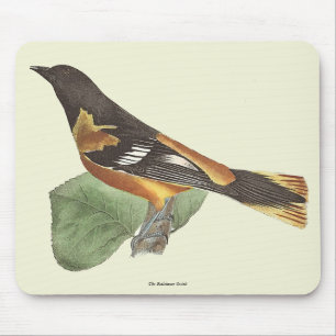 Mousepad O Ouro ou Baltimore Oriole (Icterus galbula)