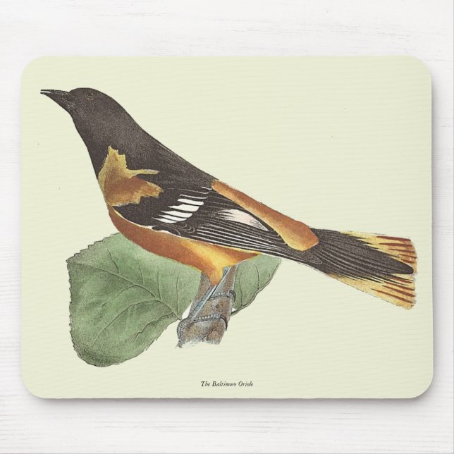 Mousepad O Ouro ou Baltimore Oriole (Icterus galbula) (Frente)