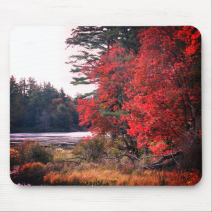 Mousepad O outono deixa a natureza marsh