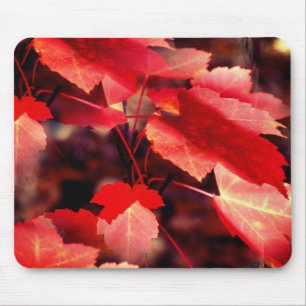 Mousepad O outono vermelho deixa a natureza