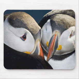 Mousepad O papagaio-do-mar, uma ave marinha pelágica