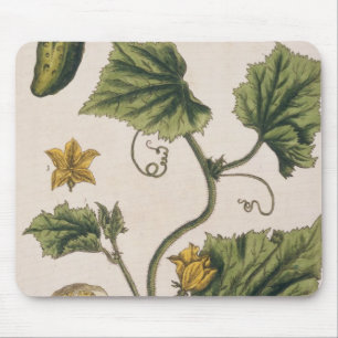 Mousepad O pepino do jardim, chapeia 4 "de um erval