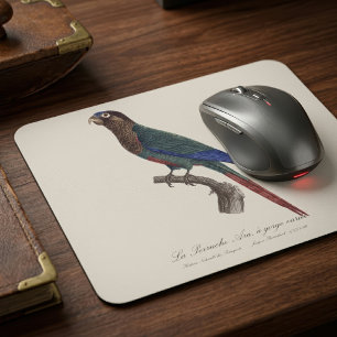 Mousepad O periquito-pintado, Pyrrhura Picta