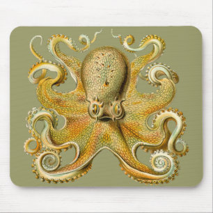 Mousepad O polvo de Ernst Haeckel