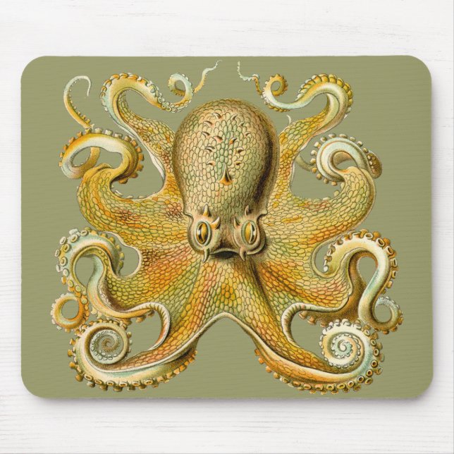 Mousepad O polvo de Ernst Haeckel (Frente)