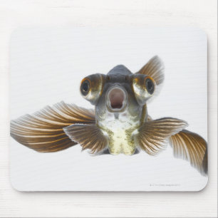 Mousepad O preto amarra o peixe dourado (o auratus do