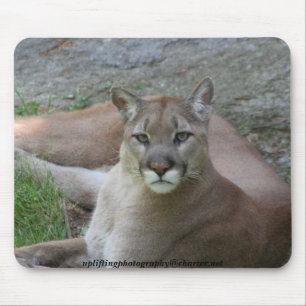 Mousepad O puma