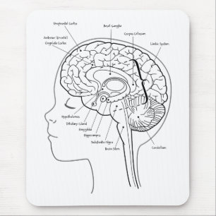 Mousepad O que está em seu cérebro