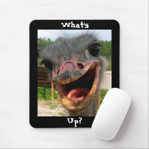 Mousepad O que foi, Ostrich?