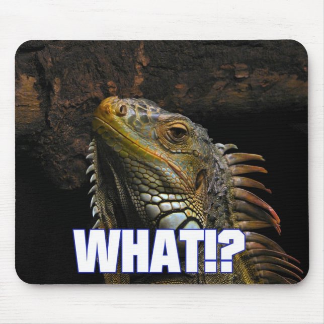 Mousepad O quê? Iguana (Frente)