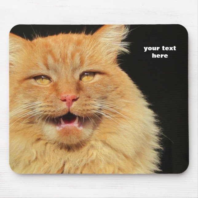 Mousepad O que o gato diz? Você Decide (Frente)