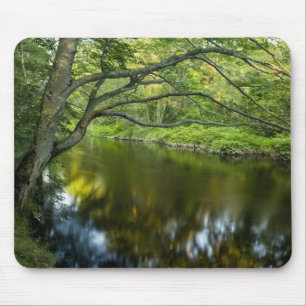 Mousepad O rio Taunton em Bridgewater, 2
