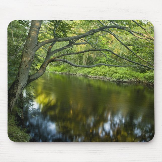 Mousepad O rio Taunton em Bridgewater, 2 (Frente)