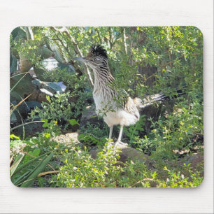 Mousepad O Roadrunner Americano no Deserto da Arizona