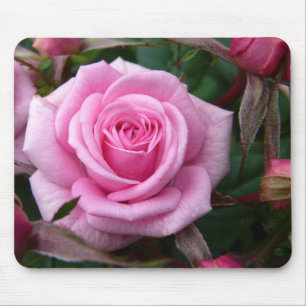 Mousepad O rosa floresce presentes da decoração da rosa