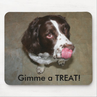 Mousepad O Spaniel de Springer inglês, Otis quer um