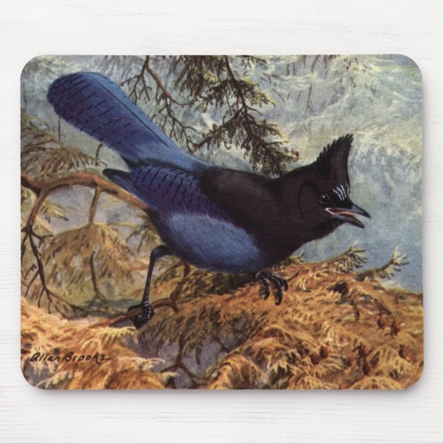 Mousepad O Steller Jay de Brooks (Frente)