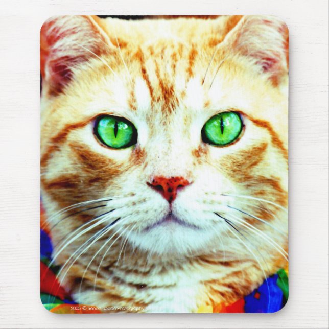 Mousepad o tapete do rato (Frente)