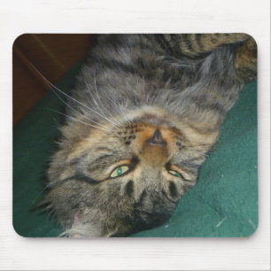 Mousepad O Tig