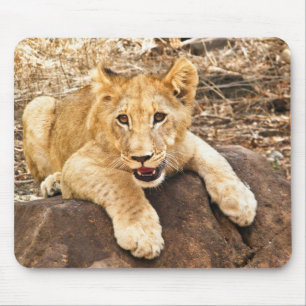 Mousepad O tigre Cub toma o respiradouro em uma rocha